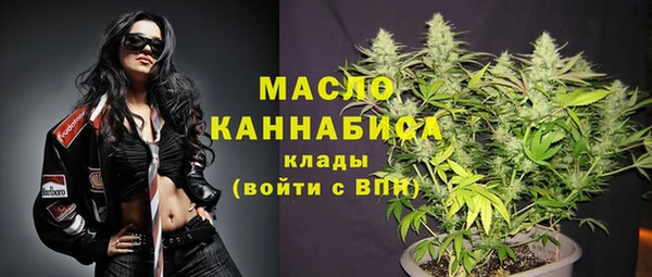 гидра Гусиноозёрск