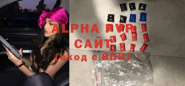 соль ск Новозыбков