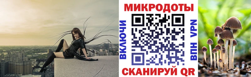 Галлюциногенные грибы Magic Shrooms  Пестово 